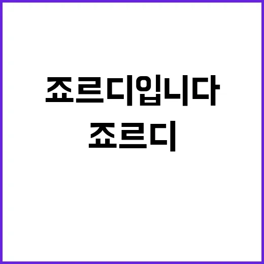 죠르디입니다 새로운…