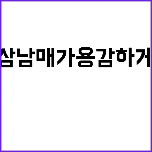 삼남매가 용감하게 …