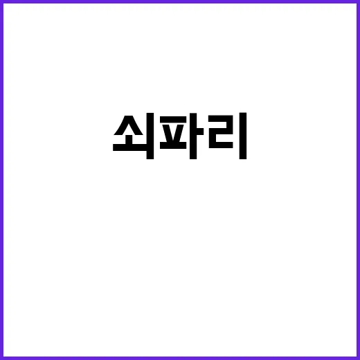 쇠파리 영화 정보 …