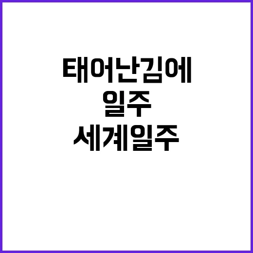 태어난 김에 세계일…