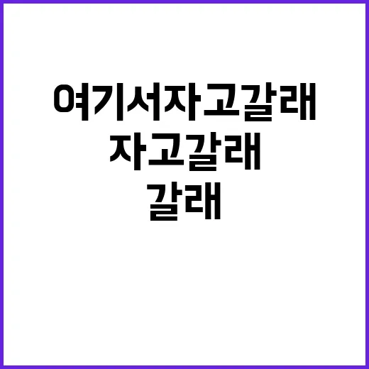 여기서 자고갈래 진…