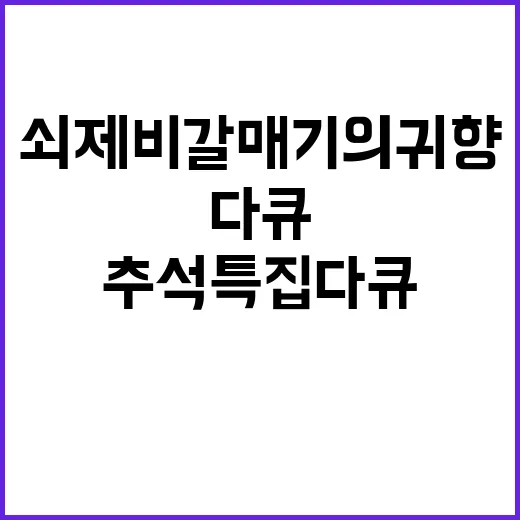 UHD추석 특집 쇠…