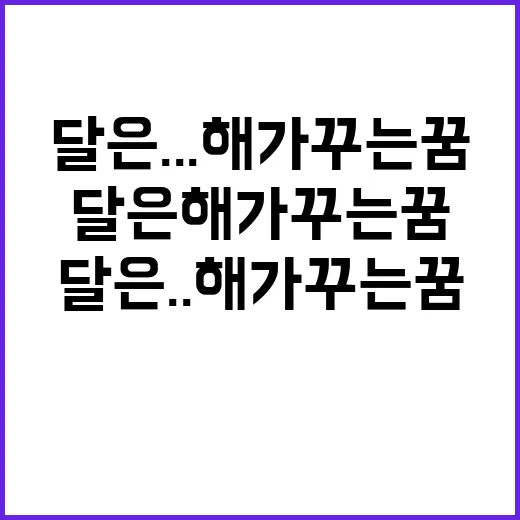 달은... 해가 꾸는 꿈