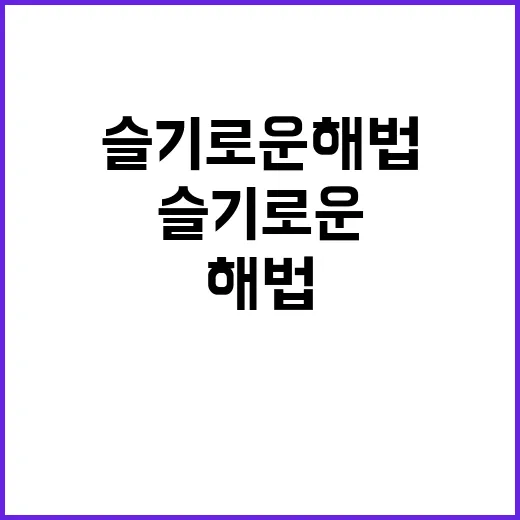 슬기로운 해법