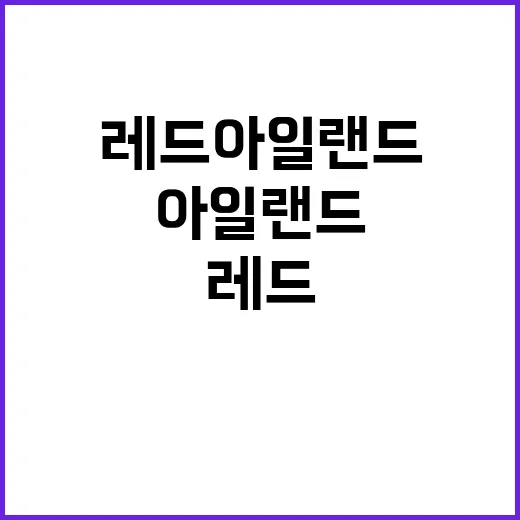 레드 아일랜드 공간…