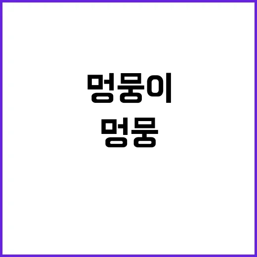 멍뭉이 귀여운 동물…