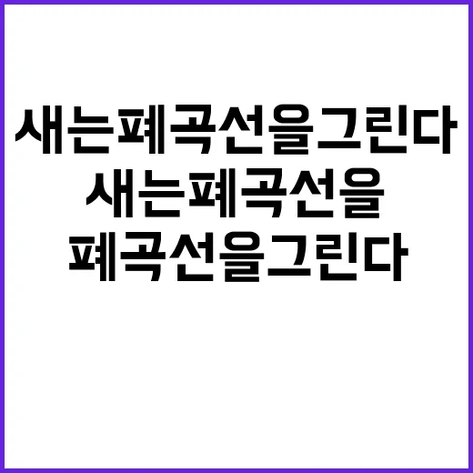 새는 폐곡선을 그린…