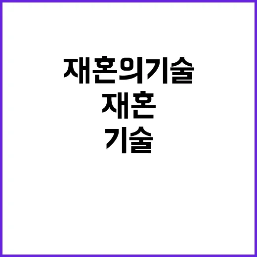 재혼의 기술 완벽 …