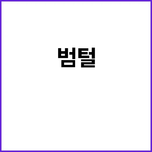 범털