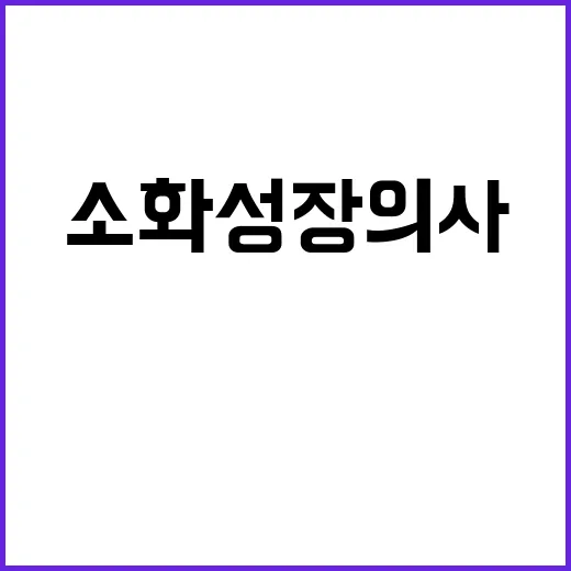 소화성 장의사