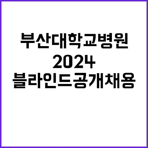 2024년도 블라인드 공개채용 국비계약직 (사회복지사) 모집 공고