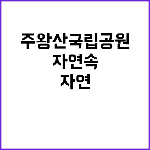 국립공원공단 자연 …