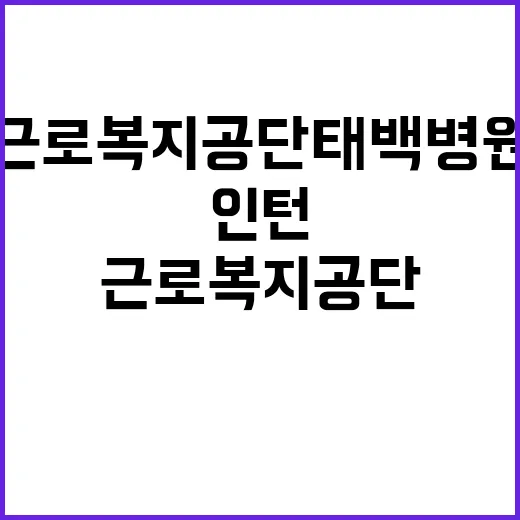 [태백병원] 산업위생사 청년(체험형)인턴 채용 공고