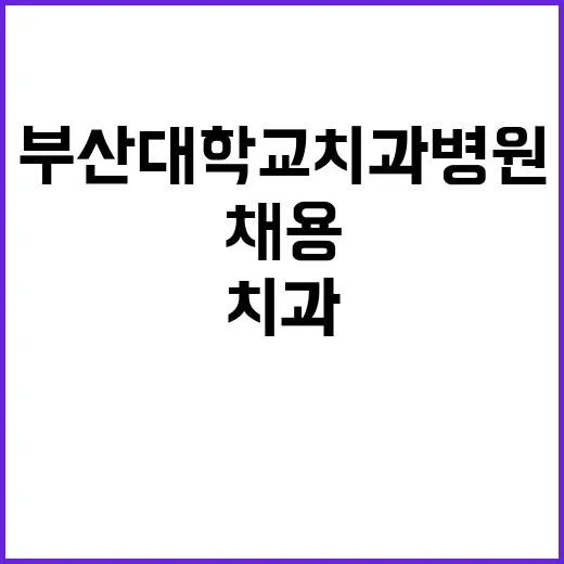 부산대학교치과병원 계약직(간호직, 보건직) 직원 모집 공고