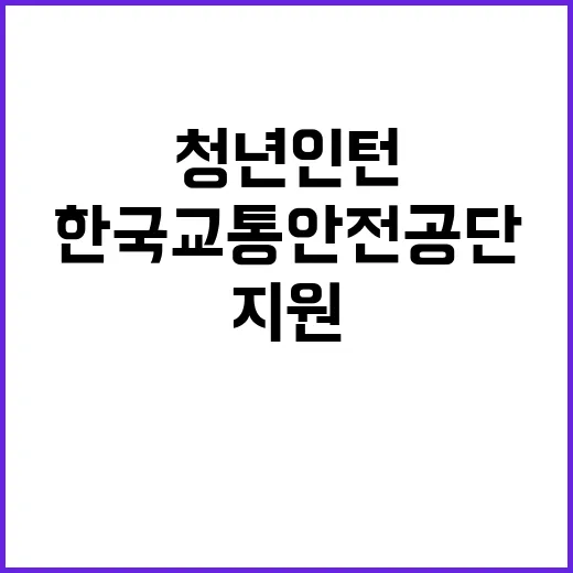 한국교통안전공단 충북본부 청년인턴(사무보조_장애) 채용 재공고(2024-004)