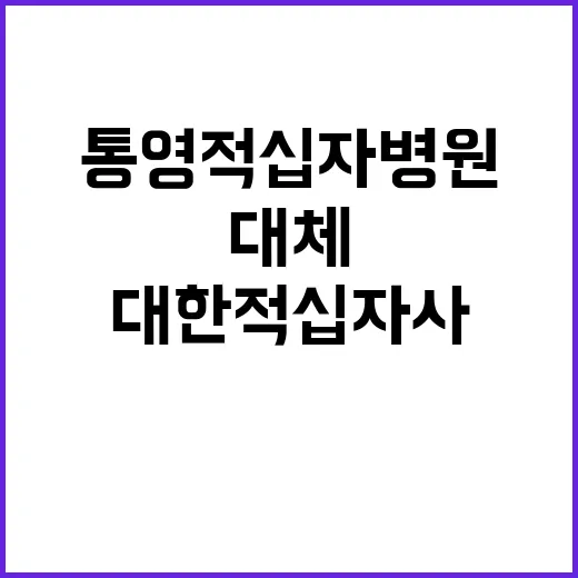 대한적십자사 비정규…