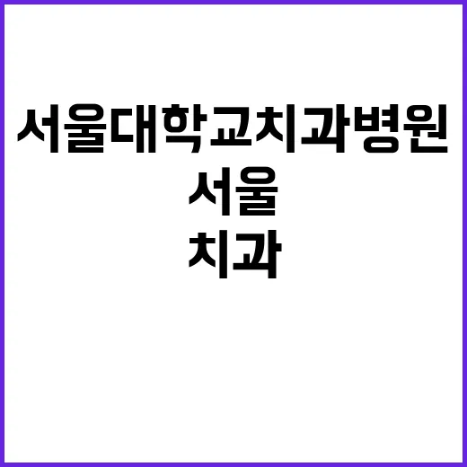 서울대학교치과병원 …