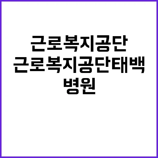 [태백병원] 공무직(시설미화원) 채용 공고