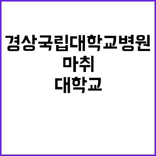 경상국립대학교병원 …