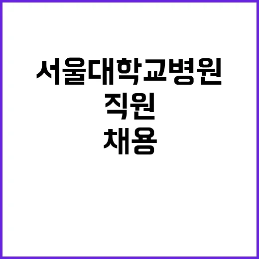 2024년도 서울대학교병원 하반기 블라인드 신규 직원 채용 공고 (장애인 특별우대)