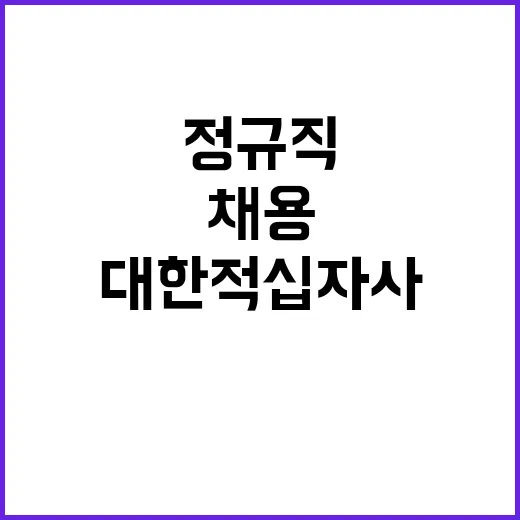 대한적십자사 정규직…