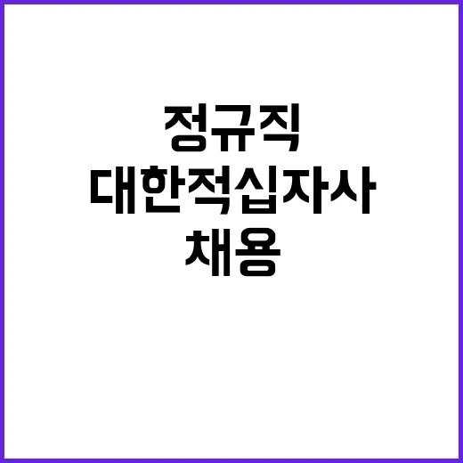 대한적십자사 정규직…