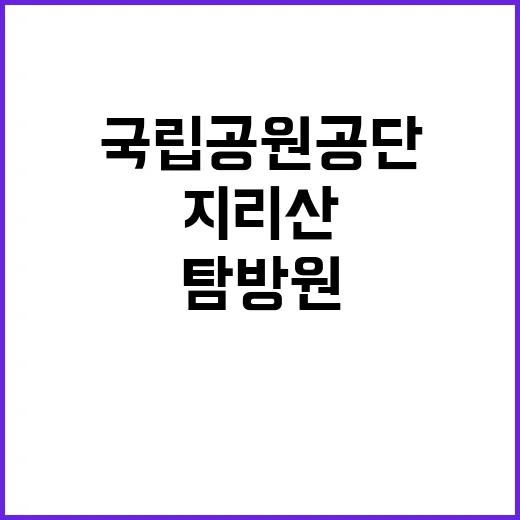 국립공원공단 비정규…