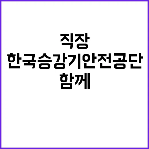 한국승강기안전공단 …