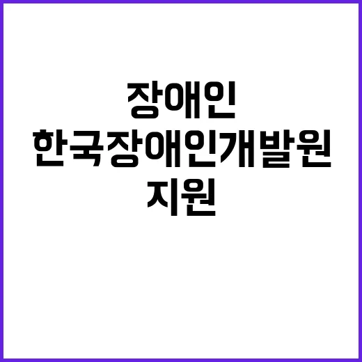 한국장애인개발원 비…