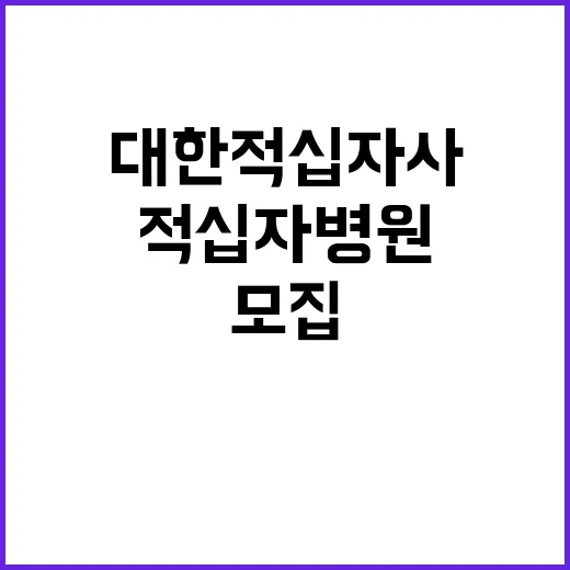 서울적십자병원 계약직 응급구조사 신규채용(2024.10.01.)