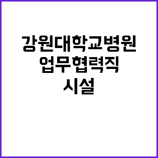 강원대학교병원 정규…