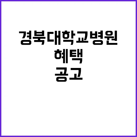 경북대학교병원 비정…