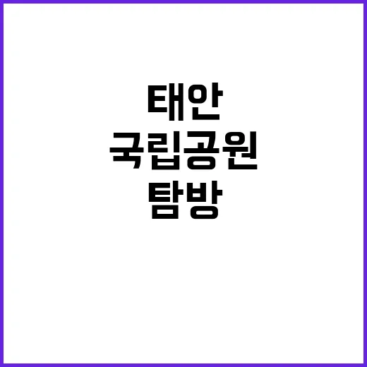 [태안] 2024년 태안해안 기간제(대체인력_탐방해설) 채용 공고