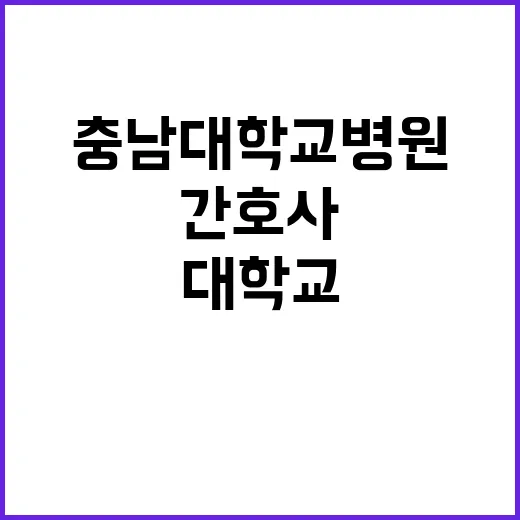 [대전본원] 충남대학교병원 2023년 10월 권역호스피스센터 보조금계약직 직원 채용공고【채용분야 : 간호사】