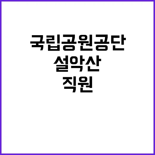 국립공원공단 비정규…