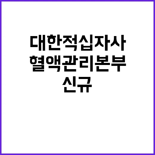 대한적십자사 비정규…