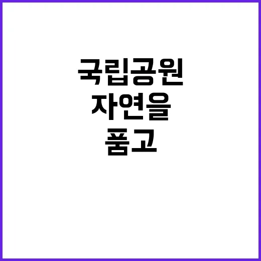 국립공원공단 비정규…