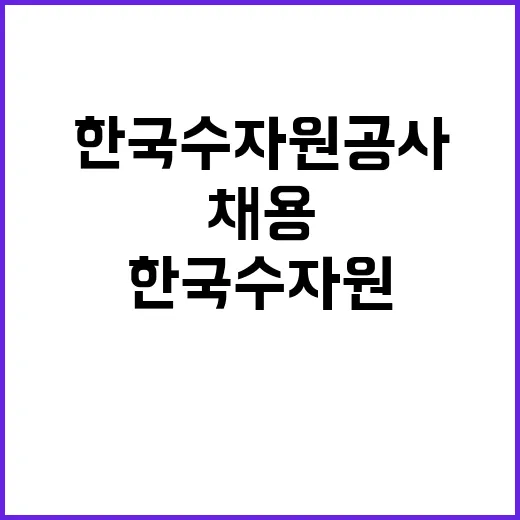 한국수자원공사 비정…