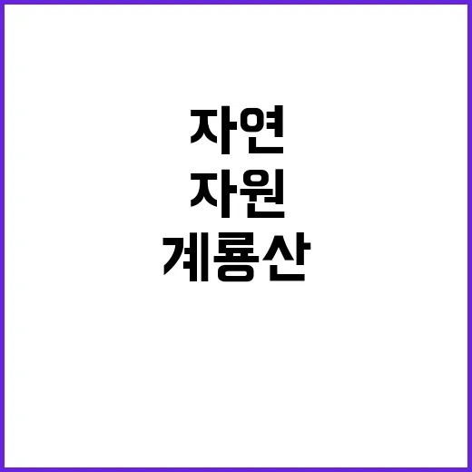 [계룡산] 계룡산국립공원 한시인력(자원보전) 채용 공고