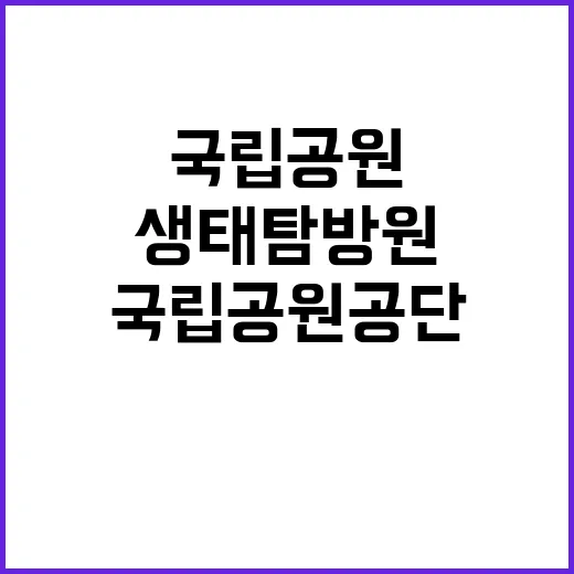 국립공원공단 비정규…