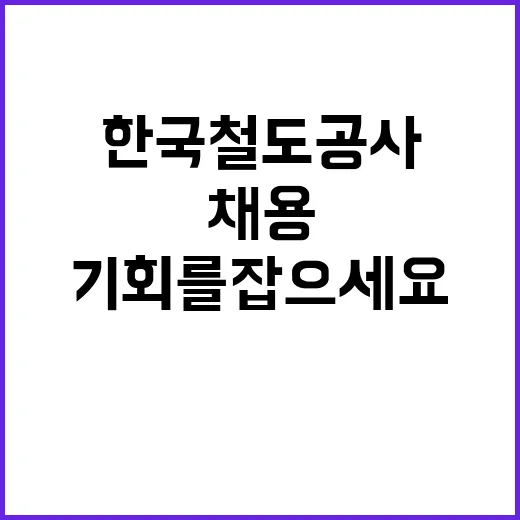 한국철도공사 비정규…