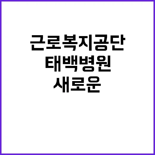 [태백병원] 별정직 의사(가정의학과) 채용 공고