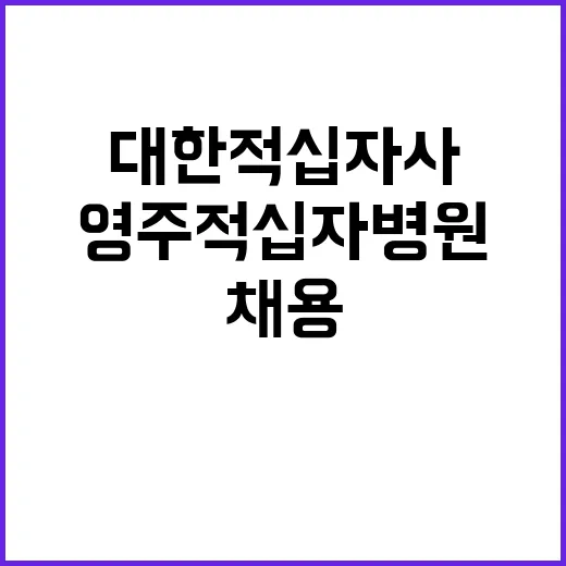 [영주적십자병원] 계약직[간호사,간호조무사,고령직 간호조무사,임상병리사,시설관리,취사원] 직원 공개채용 공고