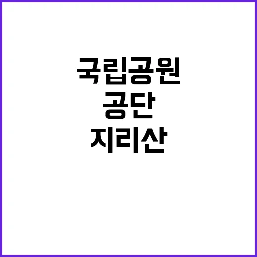 국립공원공단 비정규…