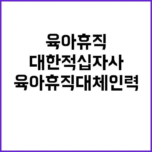 대한적십자사 비정규…