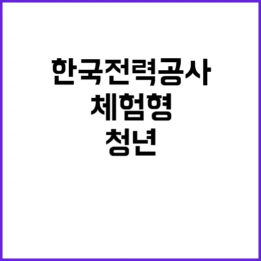 한국전력공사 청년인…