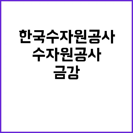 한국수자원공사 비정…