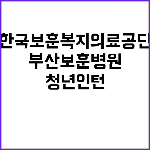 [부산보훈병원] 2024년 하반기 청년인턴(체험형) 공개채용