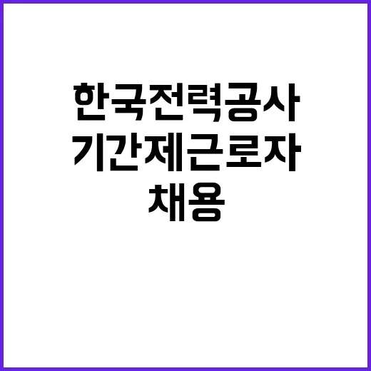 한국전력공사 비정규…