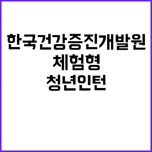 한국건강증진개발원 …